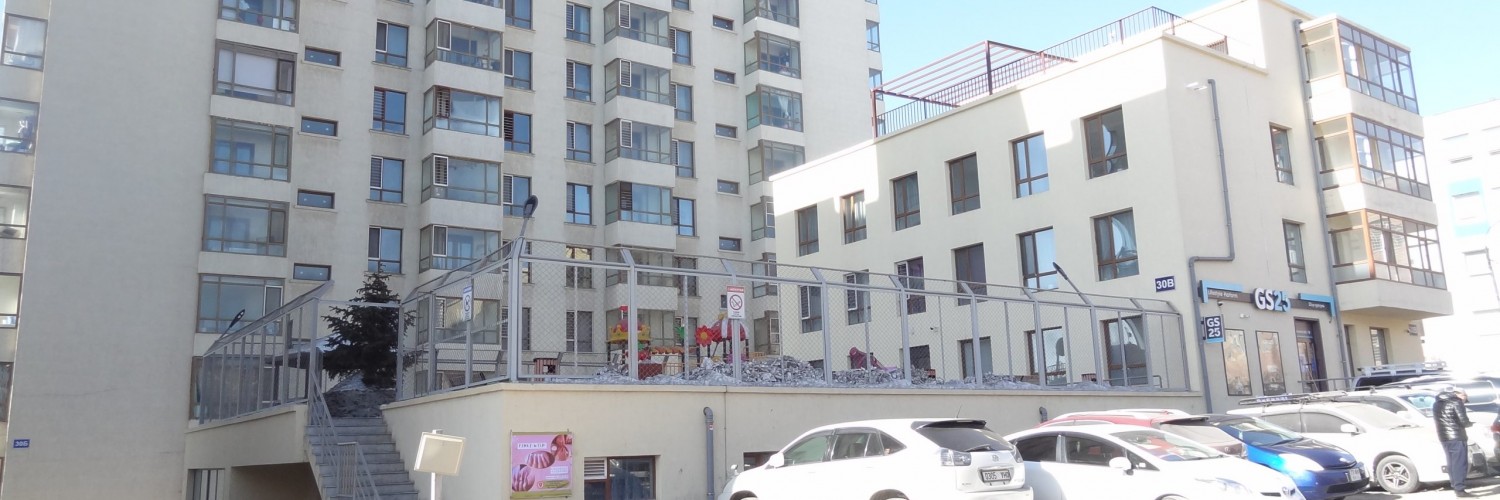 1-bedroom Apartment near Chinggis Hotel