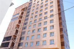 1-bedroom apartment Near Sukhbaatar Square & UN office