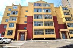 1-bedroom Apartment near Zolo Hotel