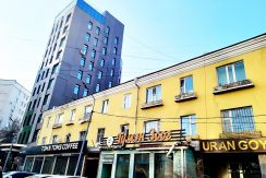 1-bedroom apartment Near Chinggis Museum & UN office